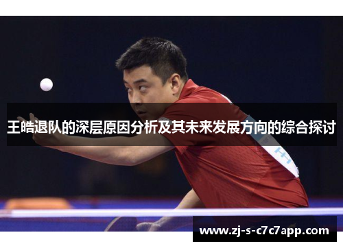 王皓退队的深层原因分析及其未来发展方向的综合探讨 王皓退队的深层原因分析及其未来发展方向的综合探讨